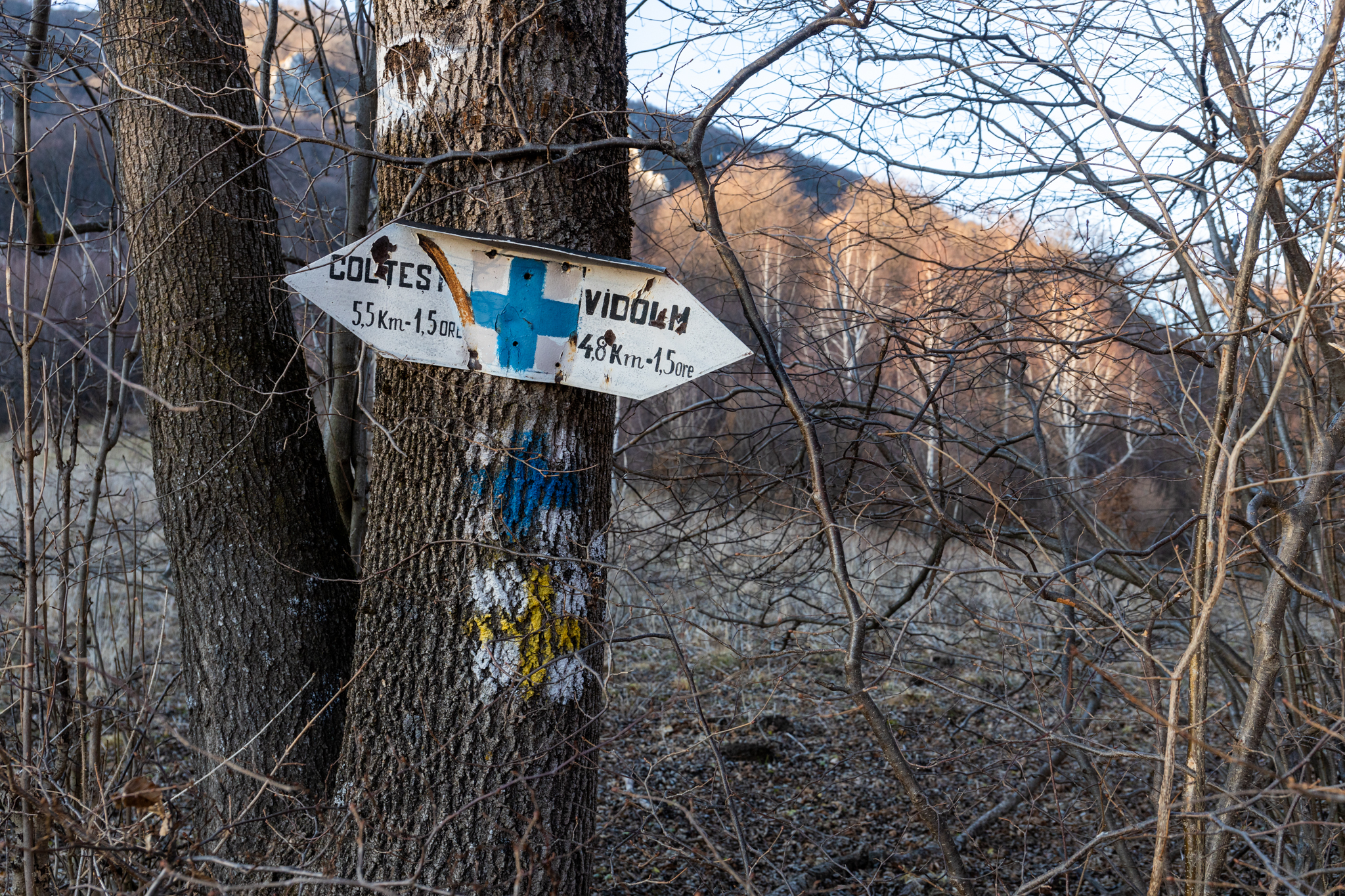  Marcaj Cruce Albastră spre Vidolm, lângă observatorul de animale - Marius Turc