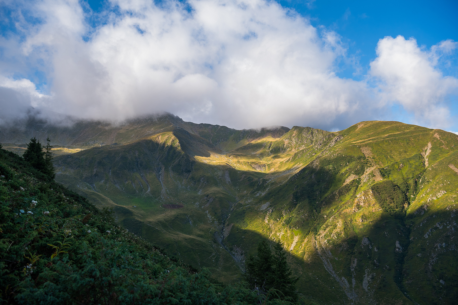 Vârful Negoiu