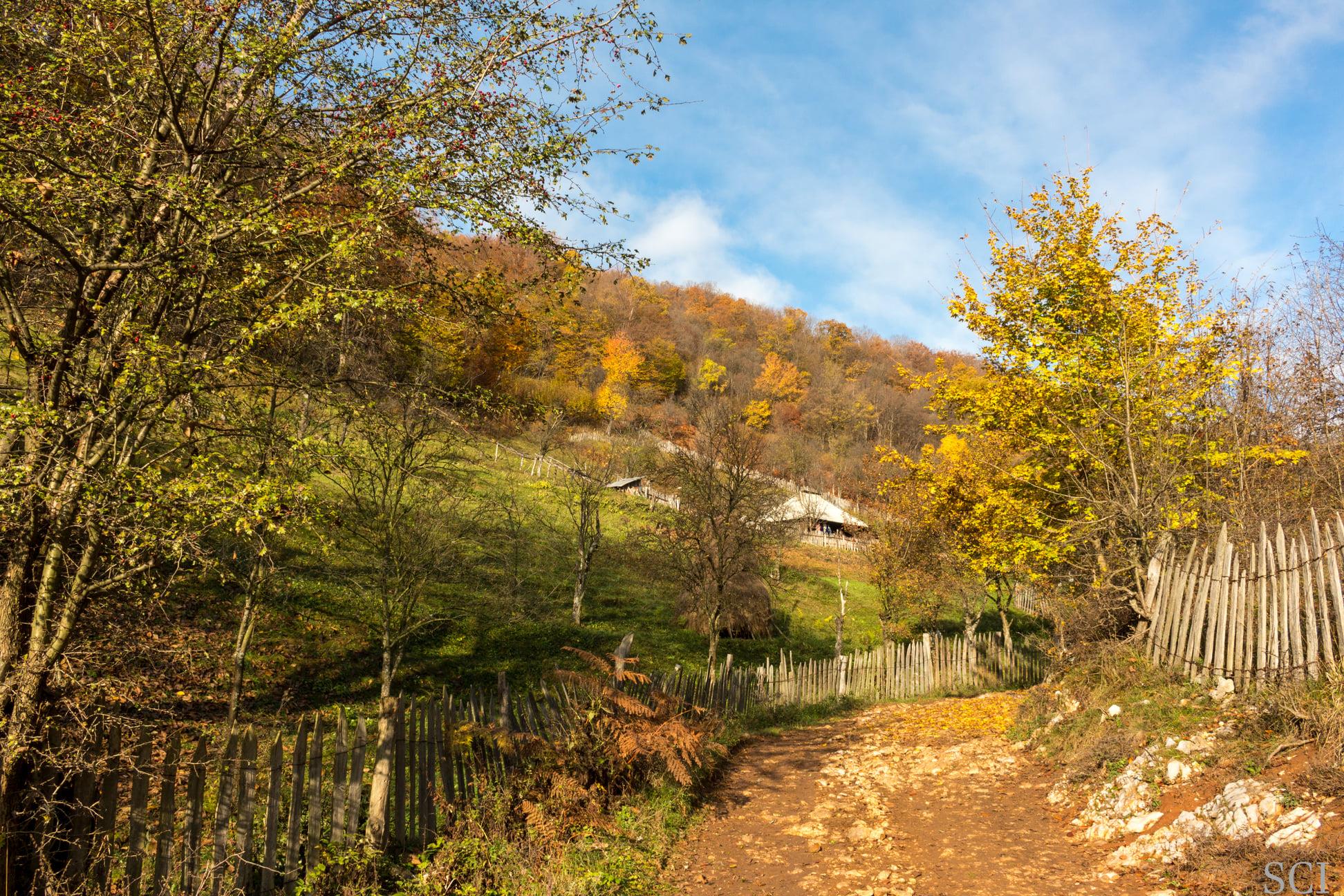  Drum de care în satul Cloșani - Csaba-Ilie Silvesan
