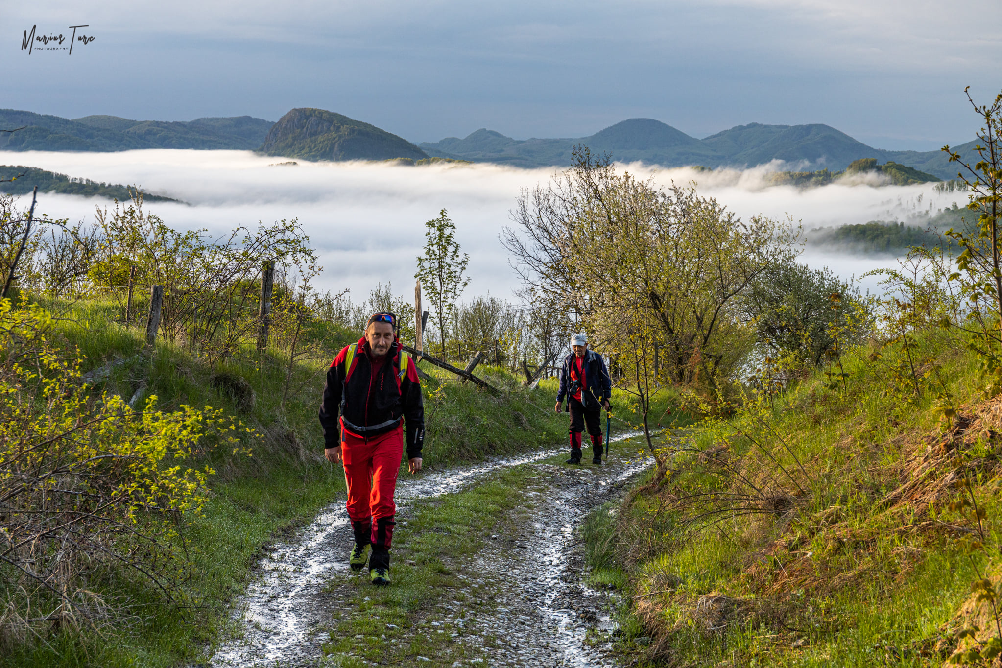 Drumul forestier spre poalele Muntelui Vulcan - Marius Turc