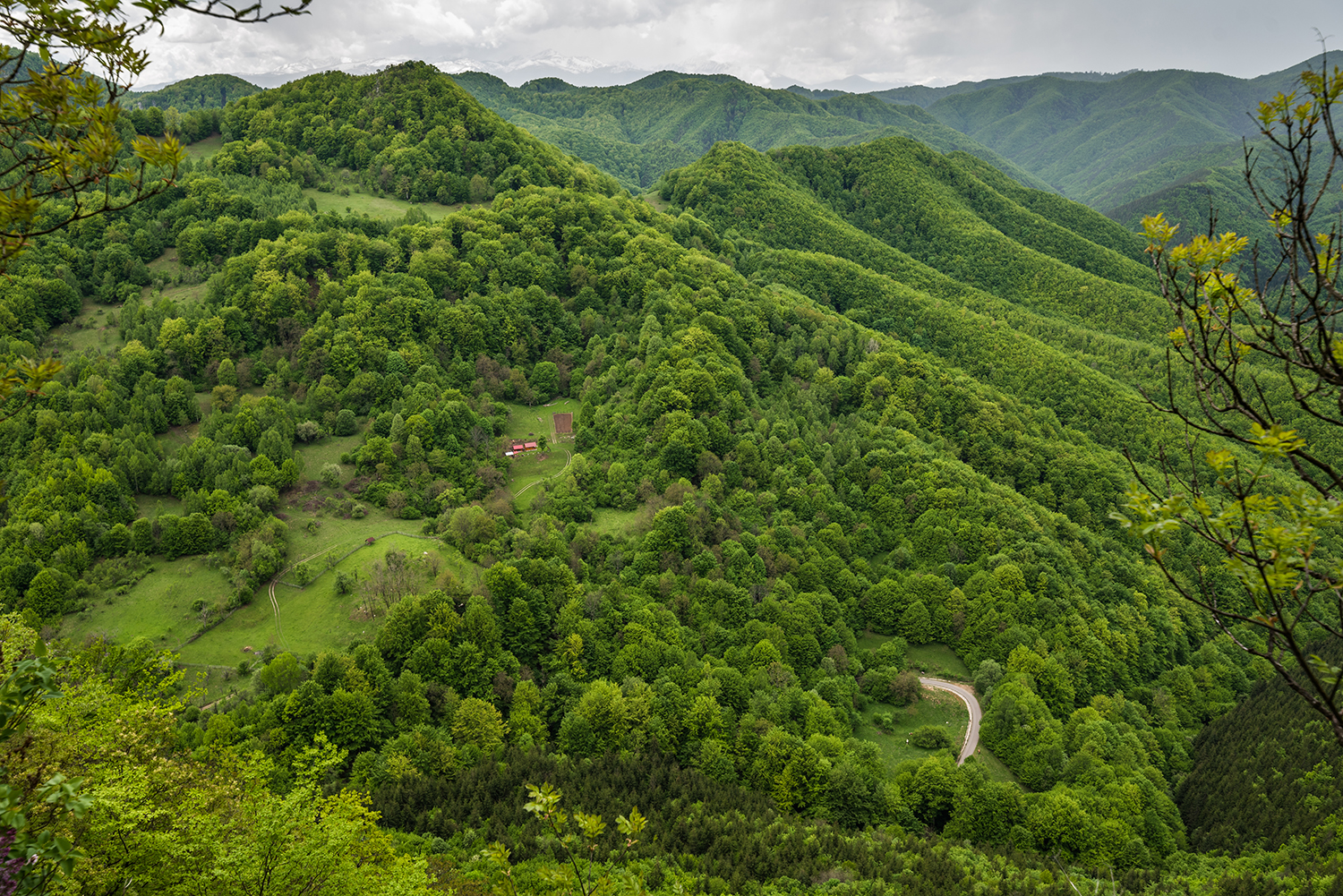 Munții Orăștiei