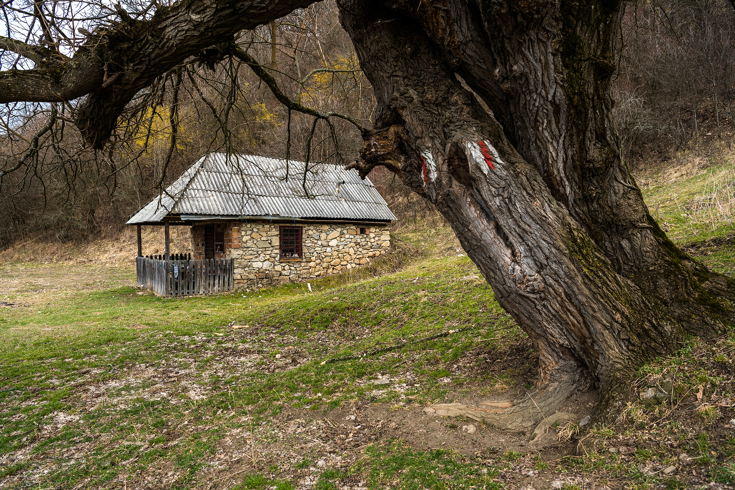 Munții Trascăului