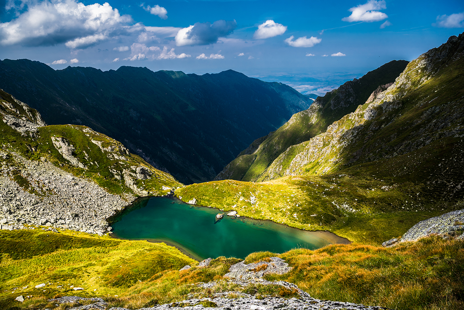 Carpații Meridionali