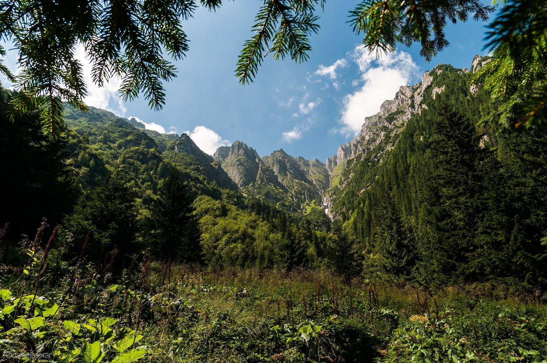  Poiana Bucșoiului și Valea Bucșoiului - Daniel Morar