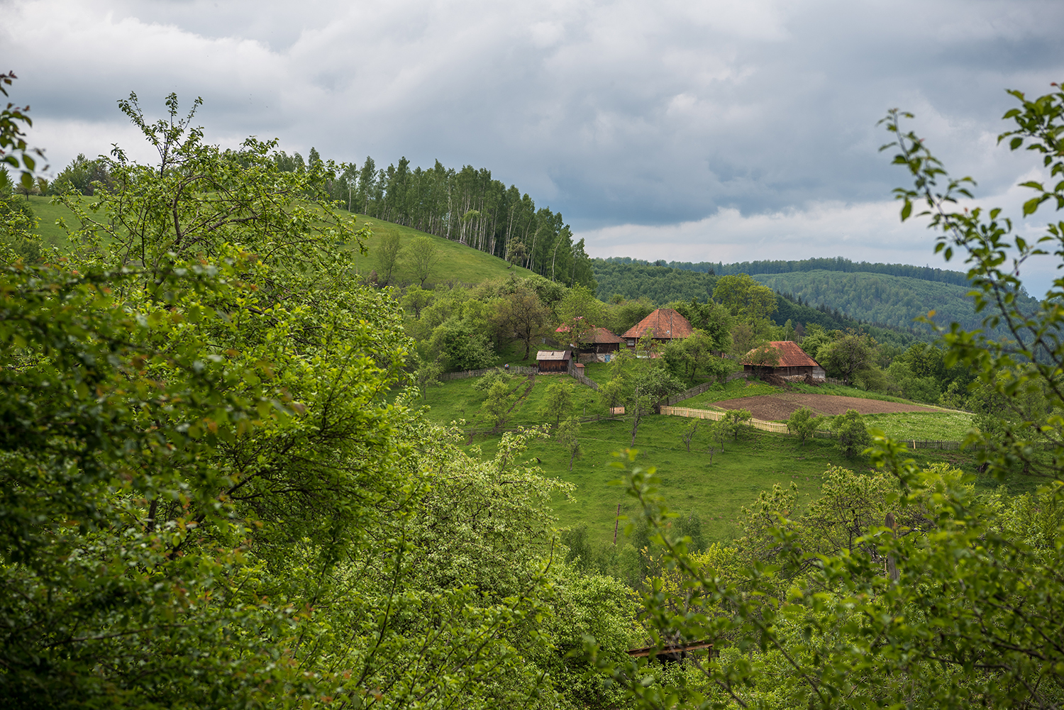 Munții Orăștiei