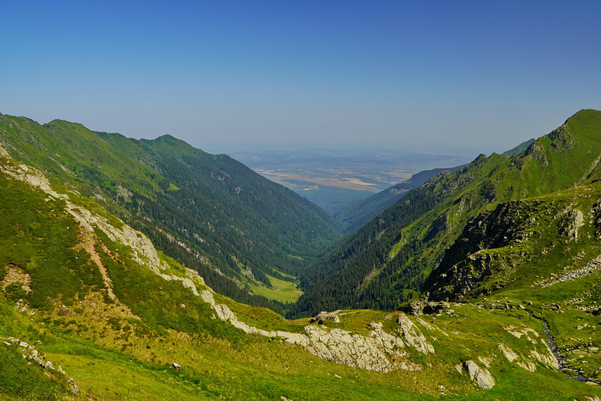  Valea Arpașul Mare - Adrian Vintilă