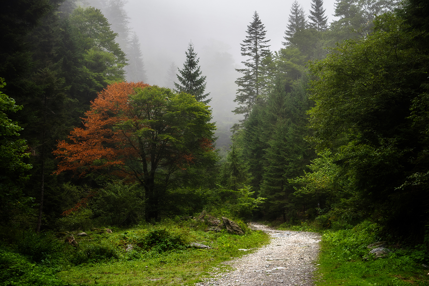 Vârful Negoiu