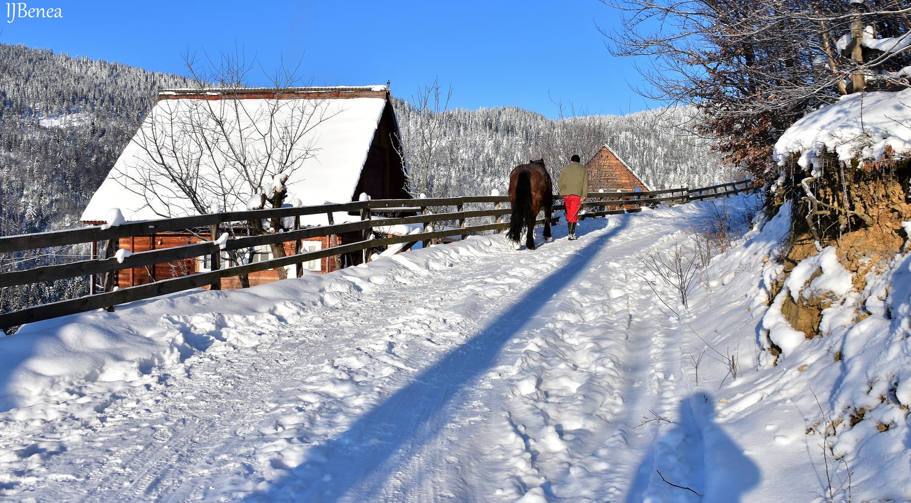  Dam buna ziua localnicilor - Ioan Benea Jurca