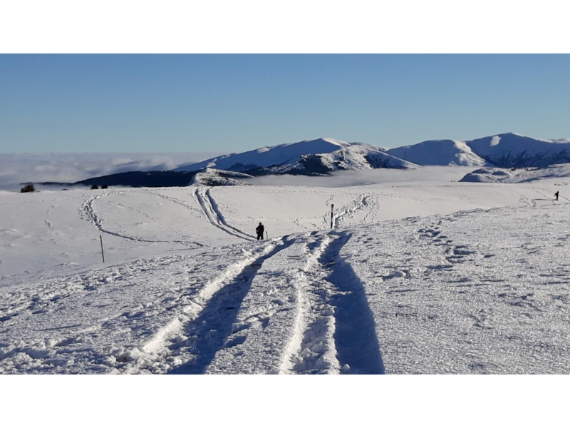 Aproape de Vf. Piatra Mare Aproape de Vf. Piatra Mare