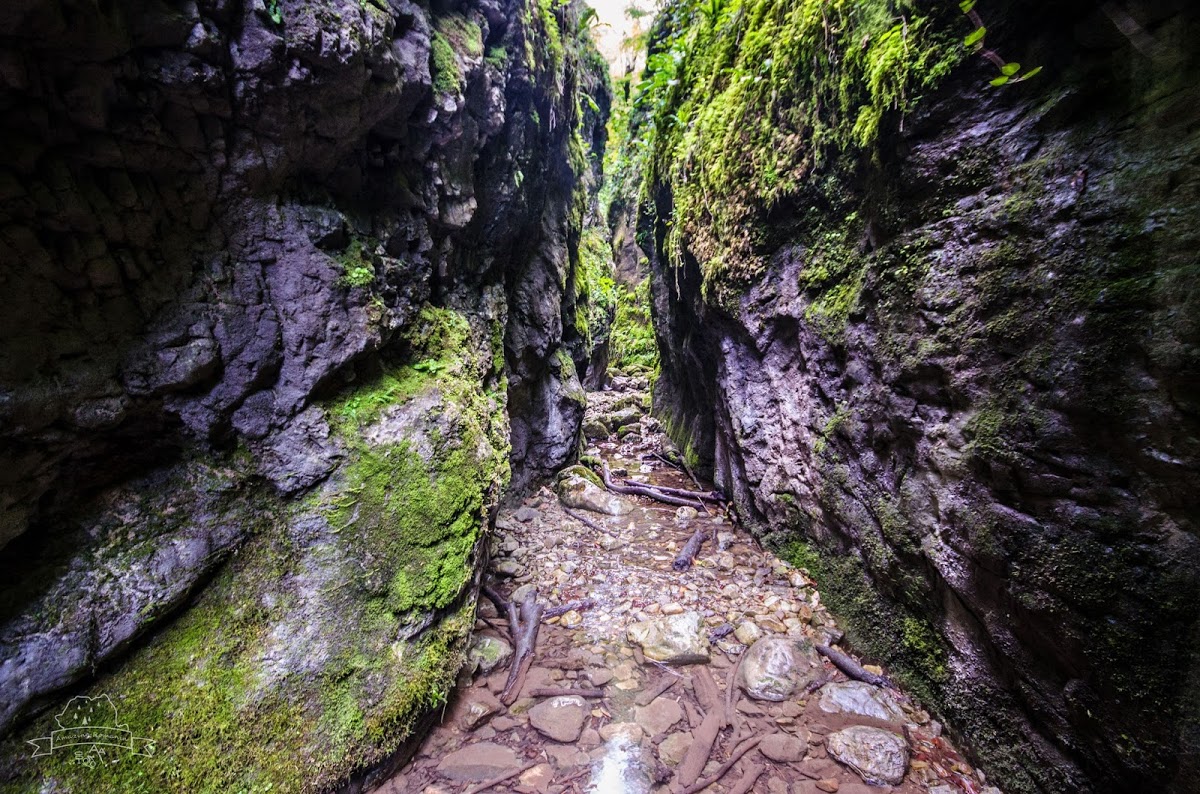  Canionul Vaii Sighistelului - Amazing Romania
