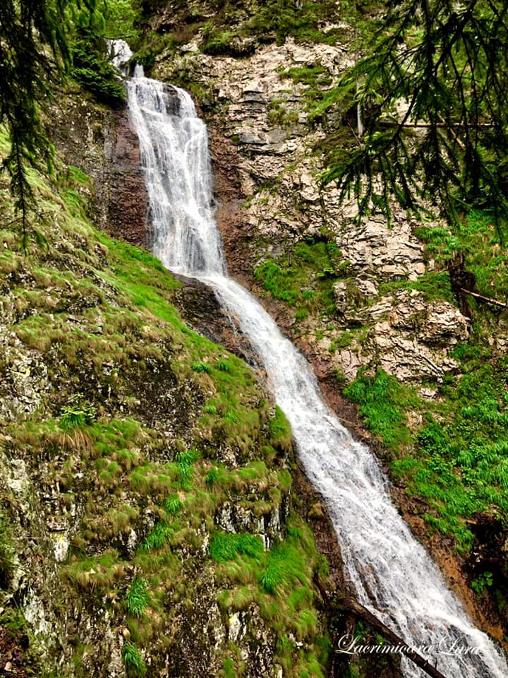  Cascada Săritoarea Bohodei, munții Vlădeasa - Lacrimioara Lara