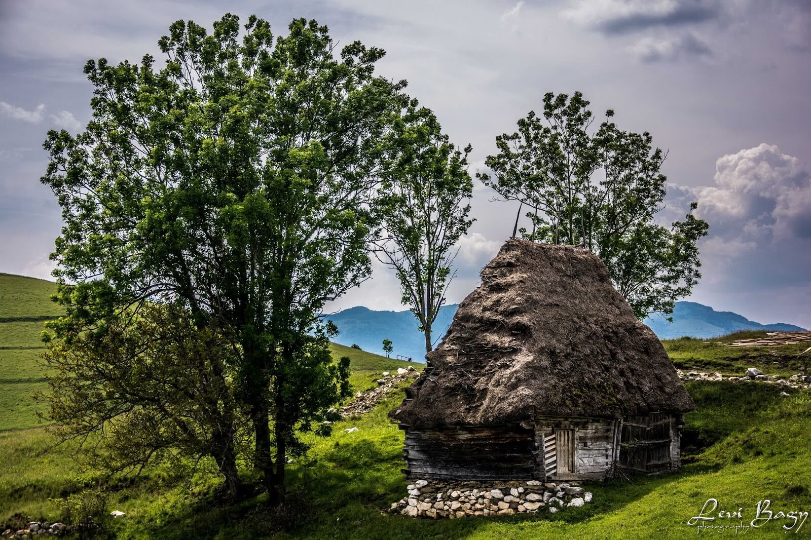  Dumești -Levi Bagy Photography