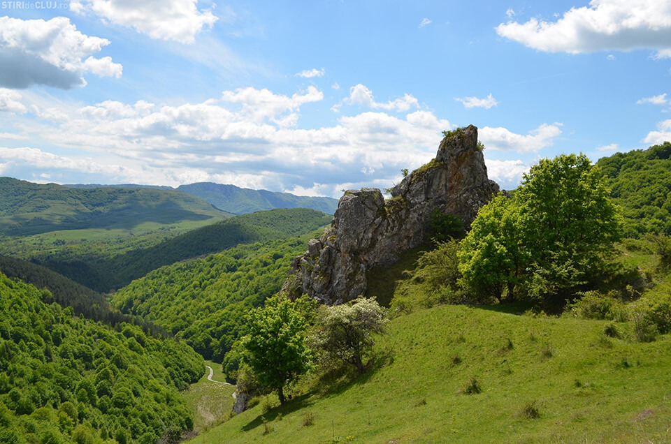  Cheile Ocolișelului - Fundația World Vision