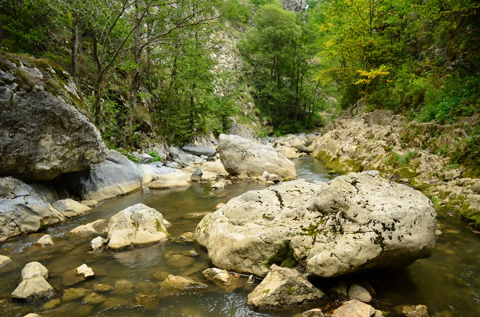  Cheile Rametului printre bolovani - Amazing Romania