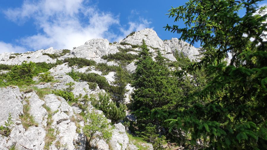 Coborare pe Braul Cioranga Coborare pe Braul Cioranga