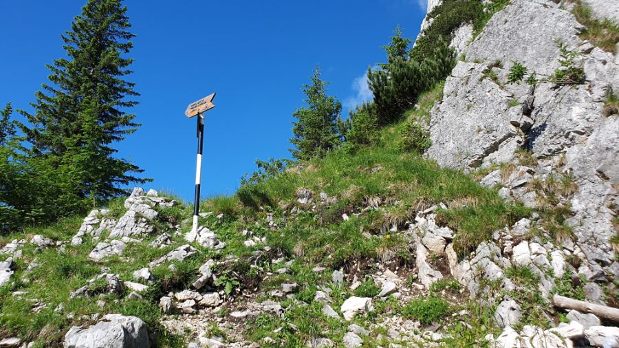 Coborare pe Braul Cioranga Coborare pe Braul Cioranga