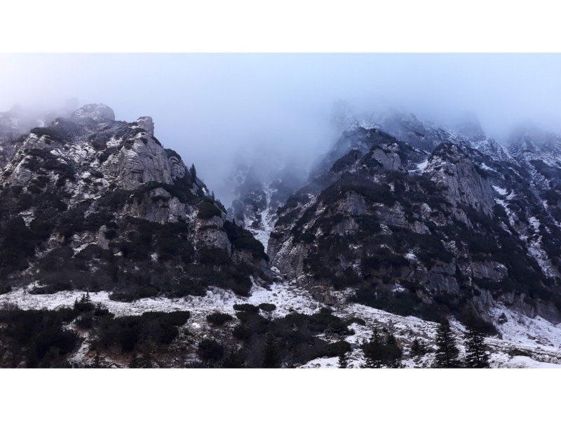 Dimineata la Cabana Malaiesti Dimineata la Cabana Malaiesti