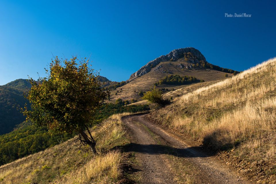  Drumeagul care urca la Piatra Craivii dinspre sud - Daniel Morar