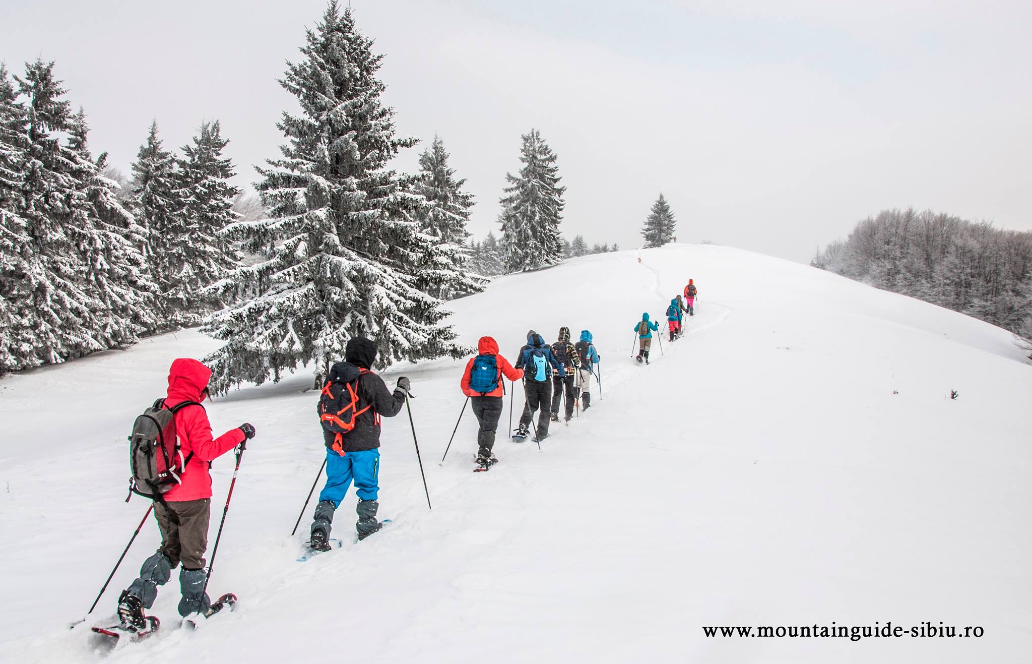  Drumeție pe rachete de zăpadă - Iulian Pănescu ghid montan MGS Sibiu