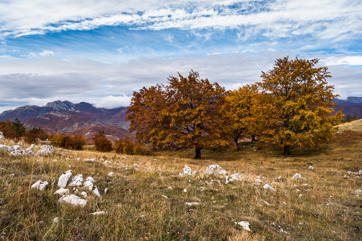 Parcul National Domogled-Valea Cernei