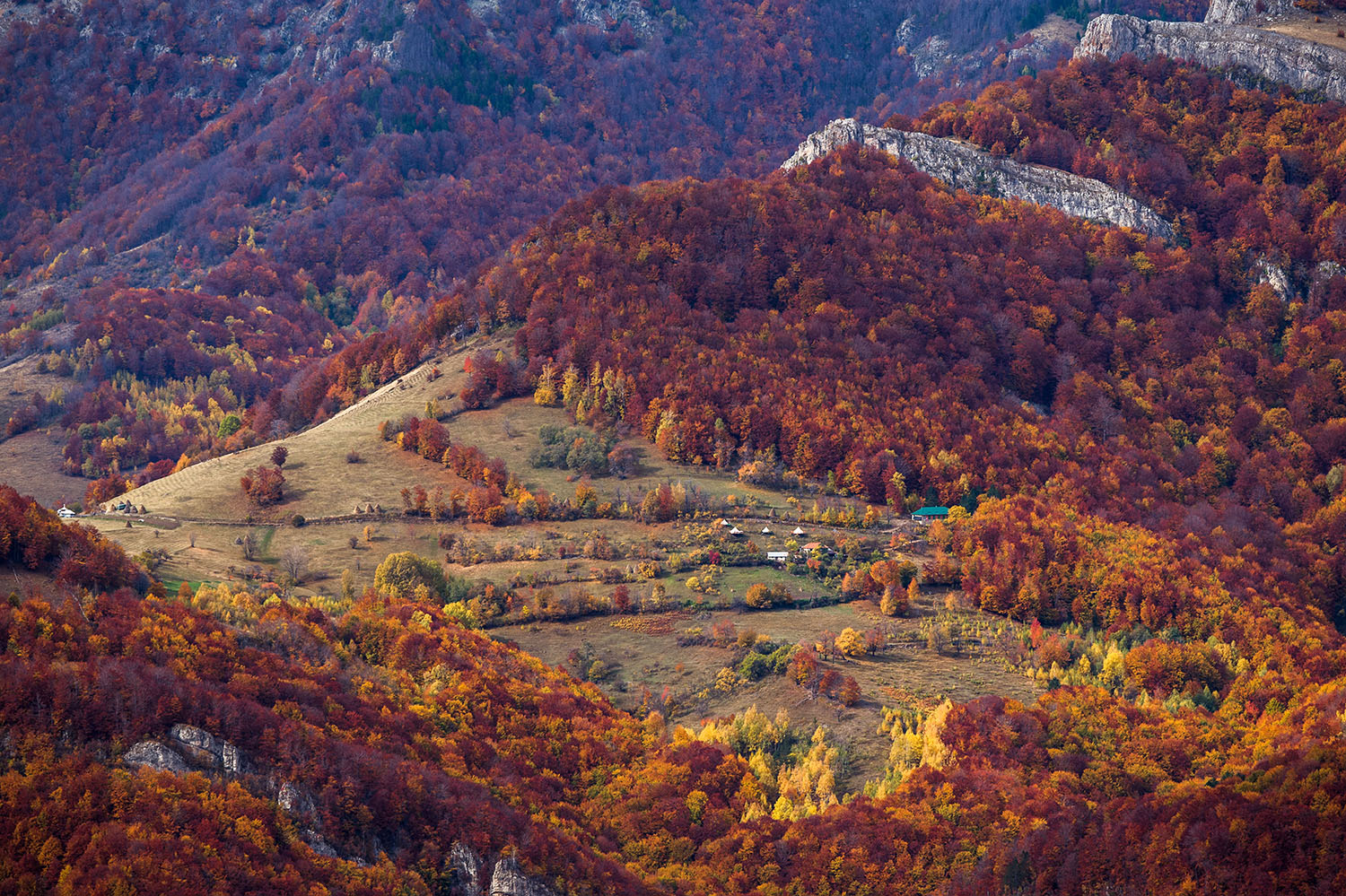 Parcul National Domogled-Valea Cernei