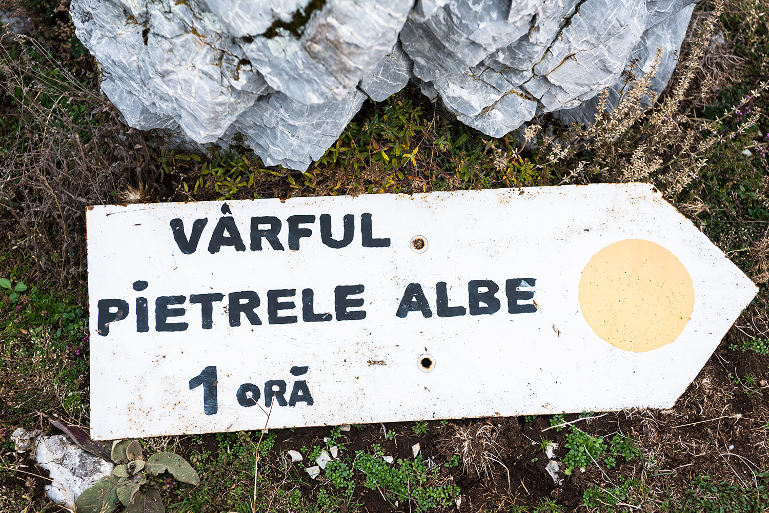 Parcul National Domogled-Valea Cernei