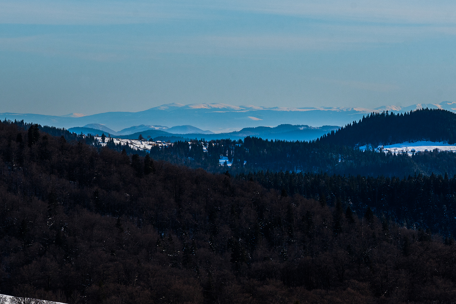 Munții Bihor