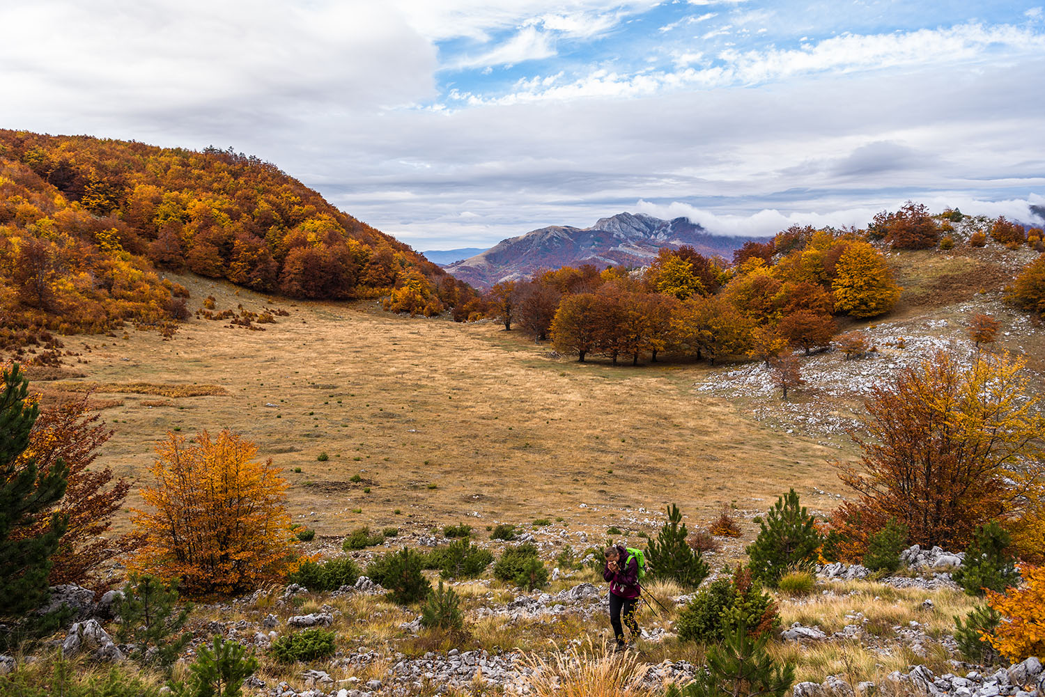 Parcul National Domogled-Valea Cernei