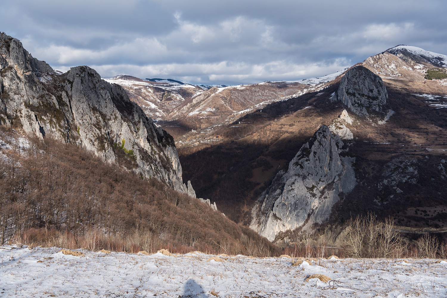 Munții Trascăului