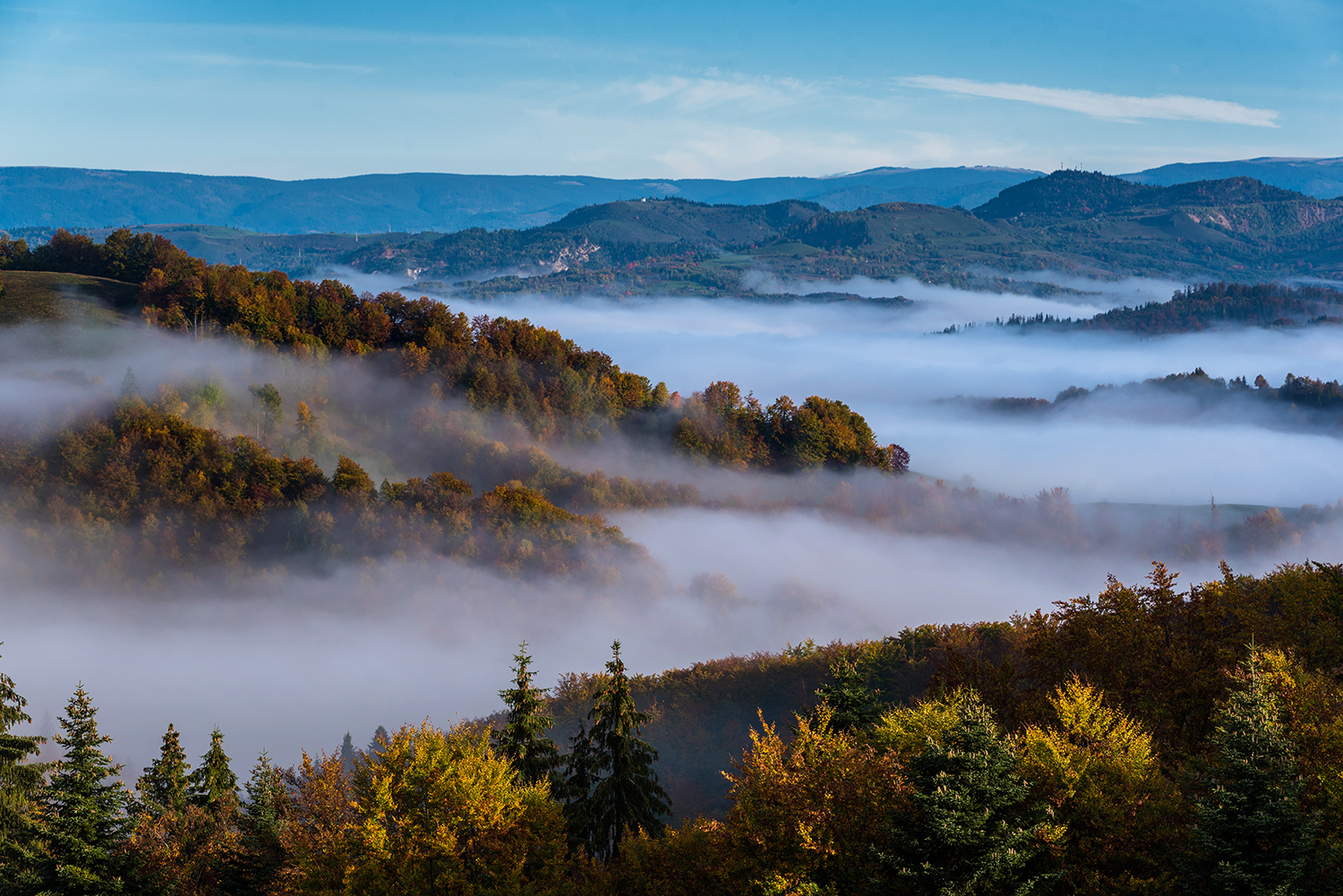 Munții Trascăului