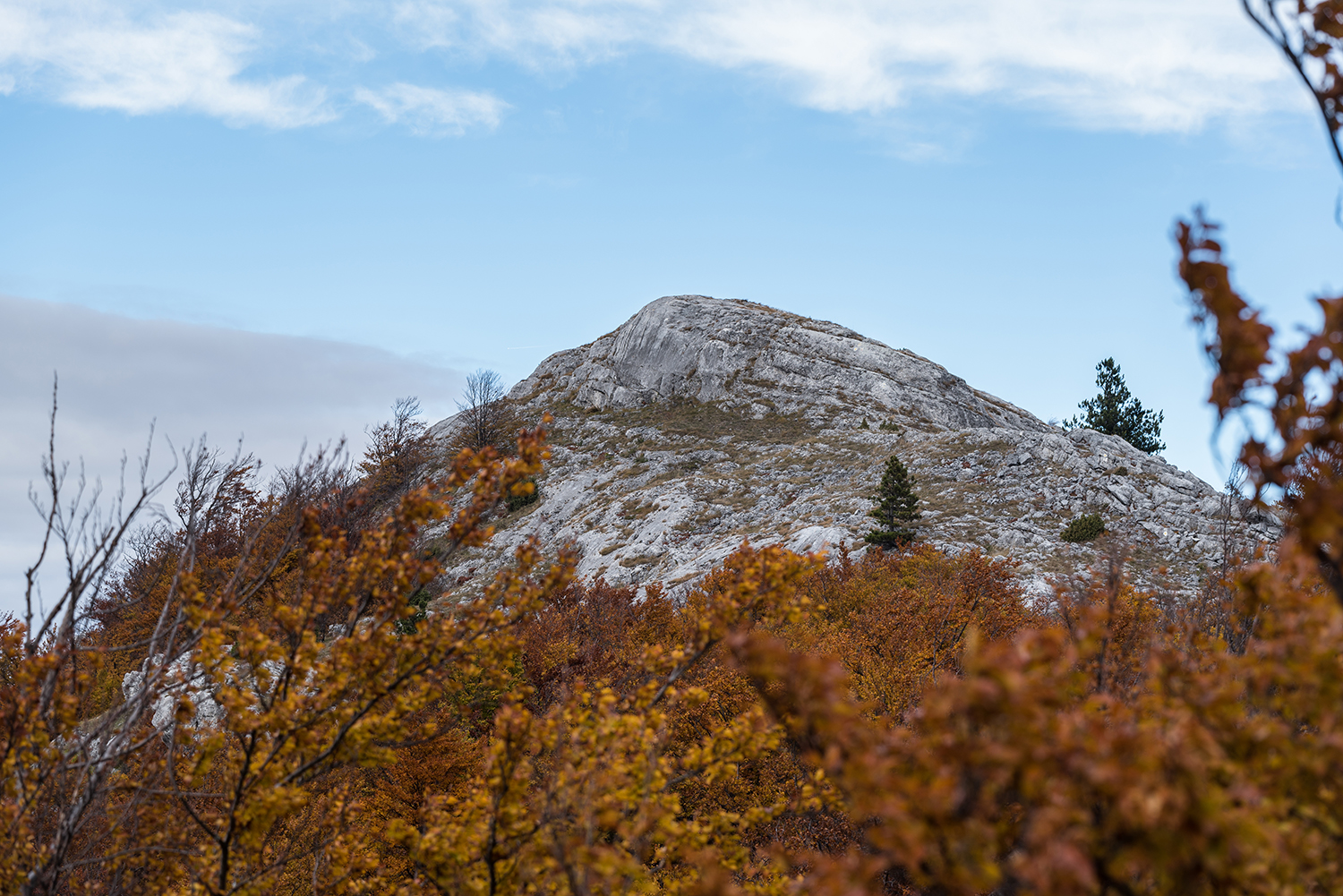 Parcul National Domogled-Valea Cernei