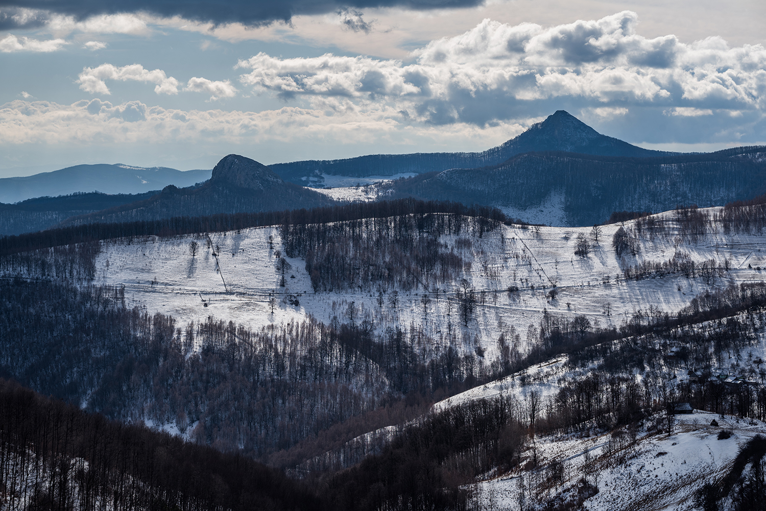 Munții Trascăului