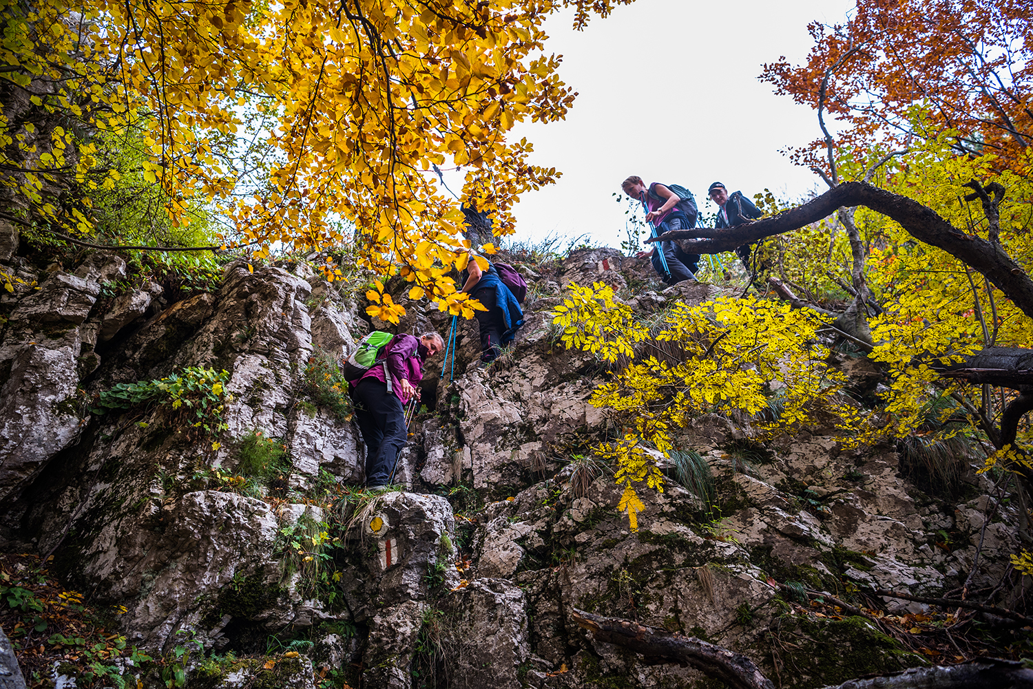 Parcul National Domogled-Valea Cernei