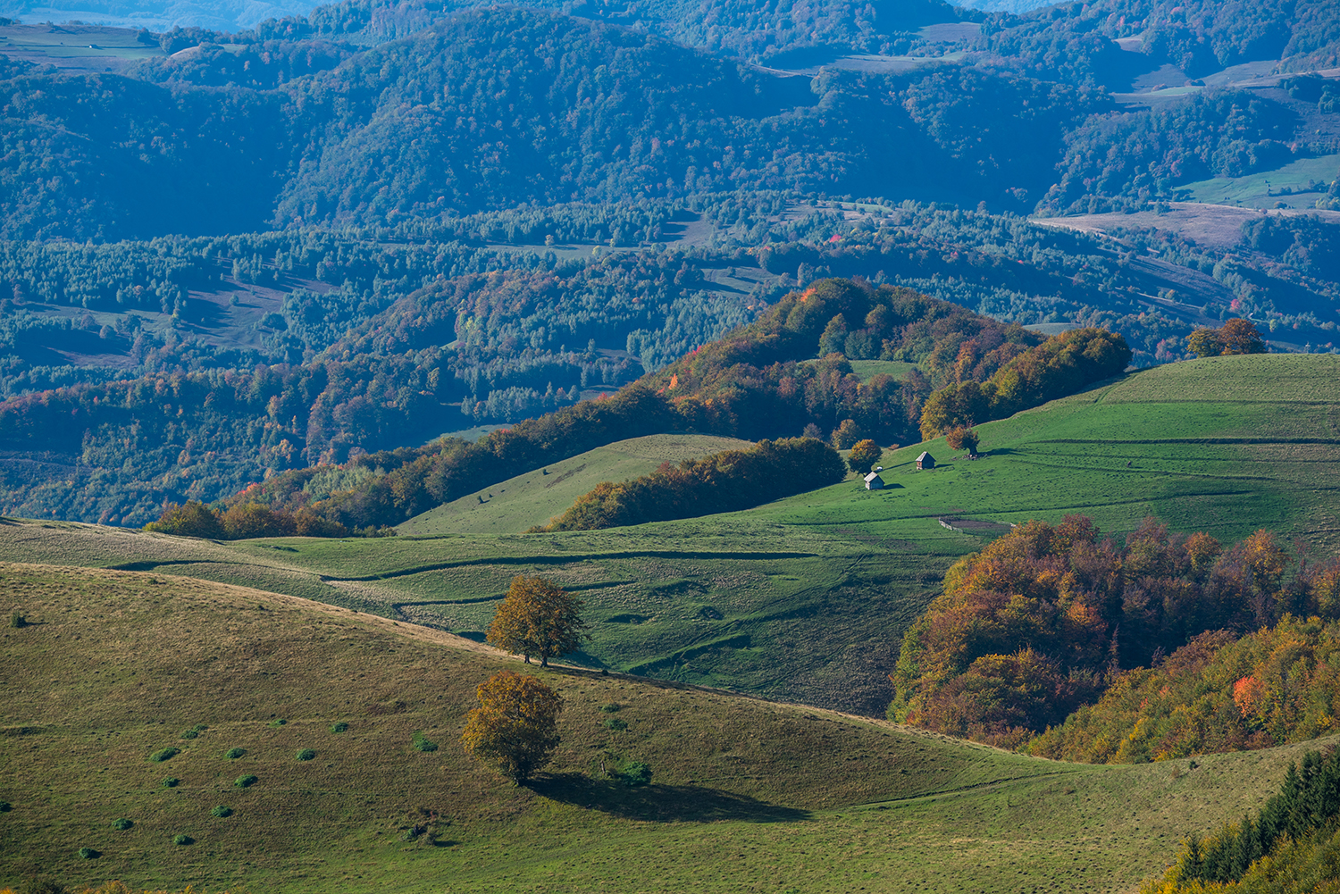 Munții Trascăului