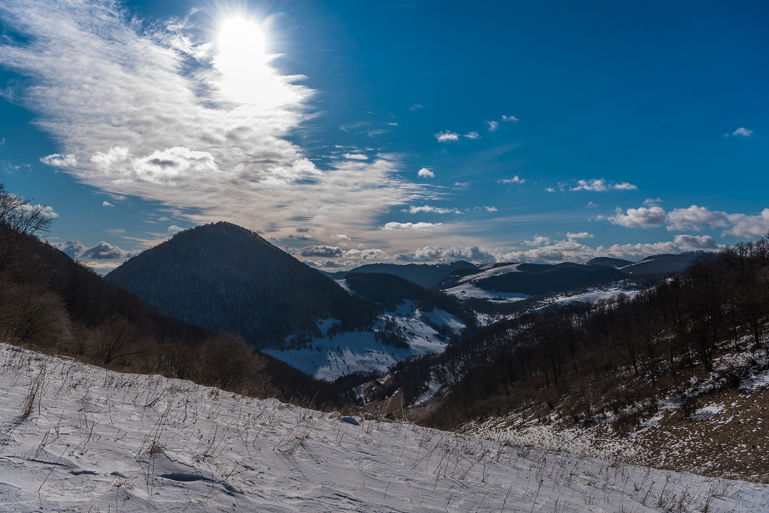 Munții Trascăului