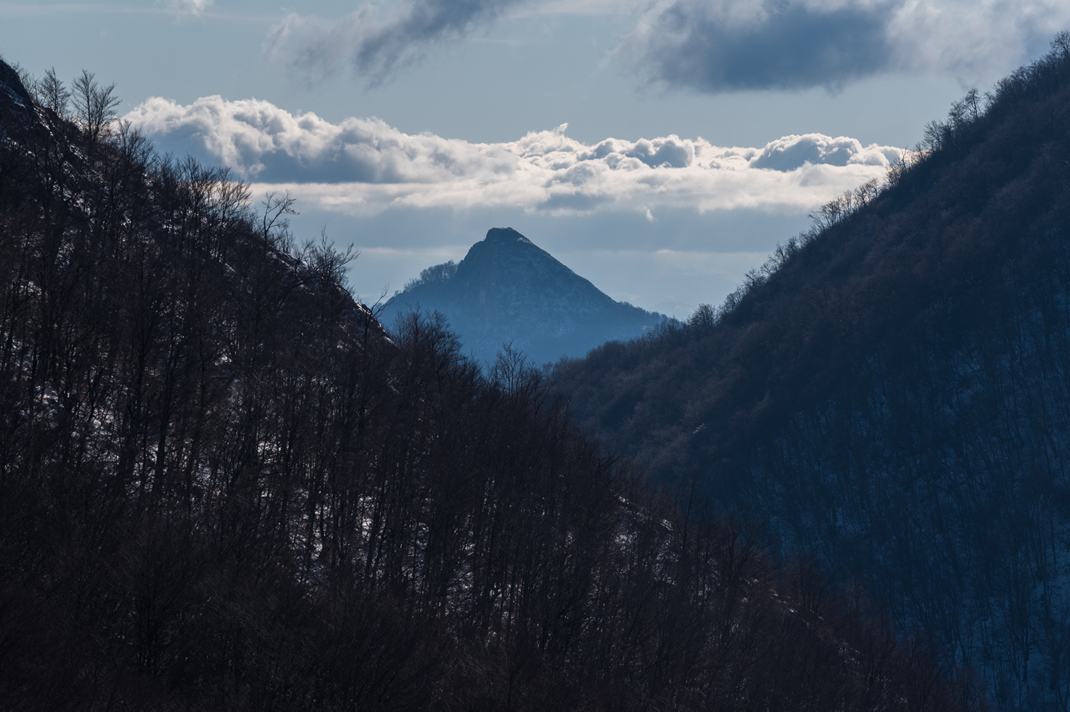 Munții Trascăului