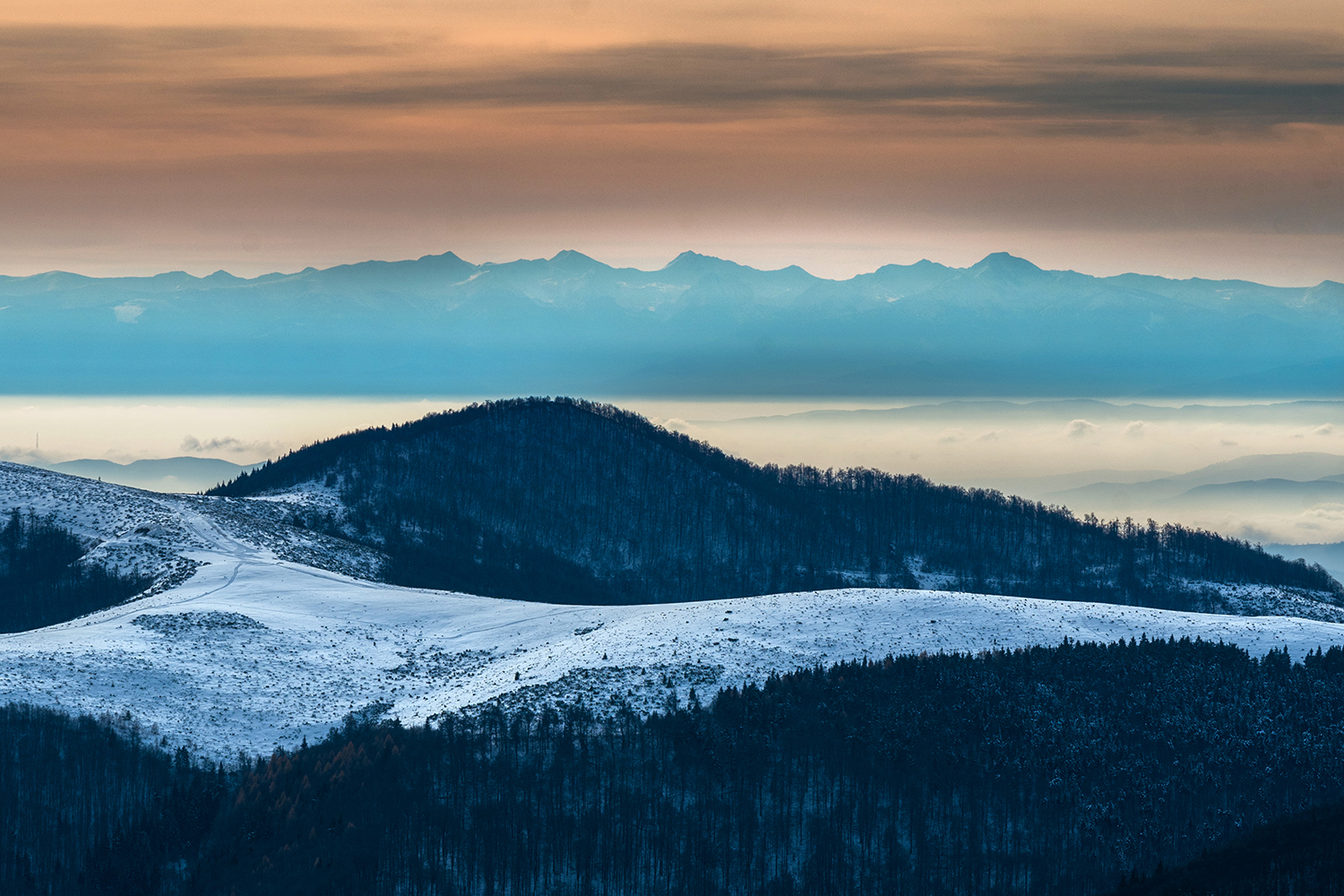 Munții Bihor