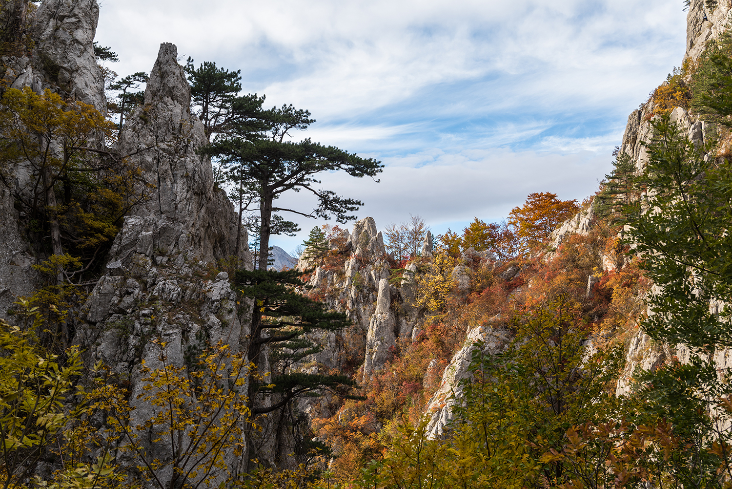 Parcul National Domogled-Valea Cernei