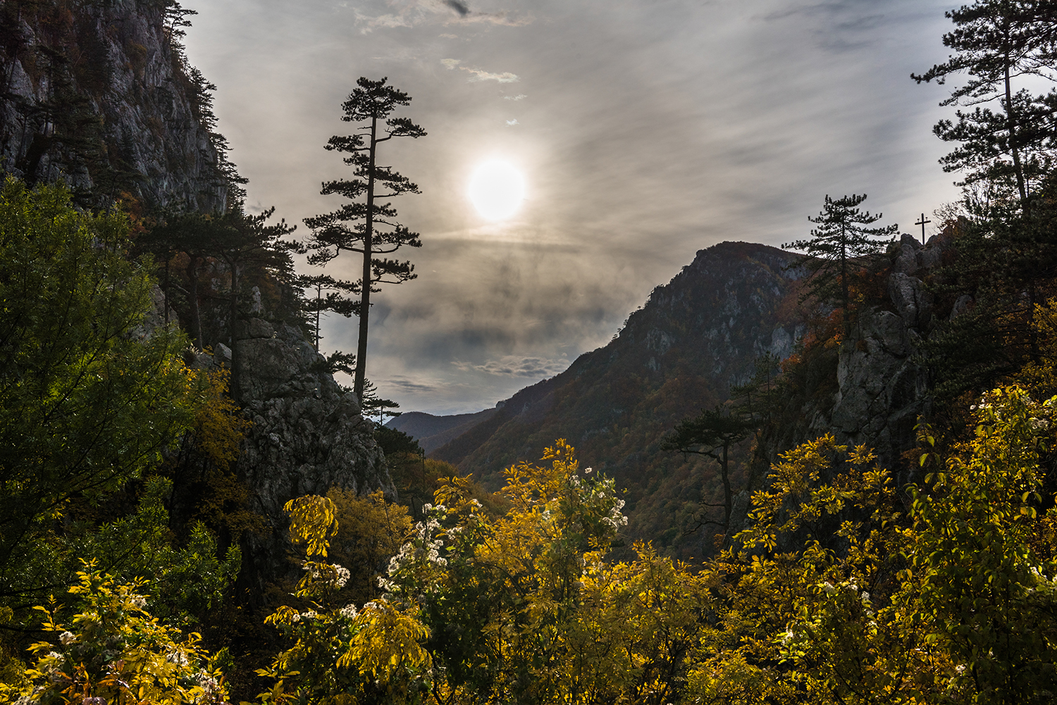 Parcul National Domogled-Valea Cernei