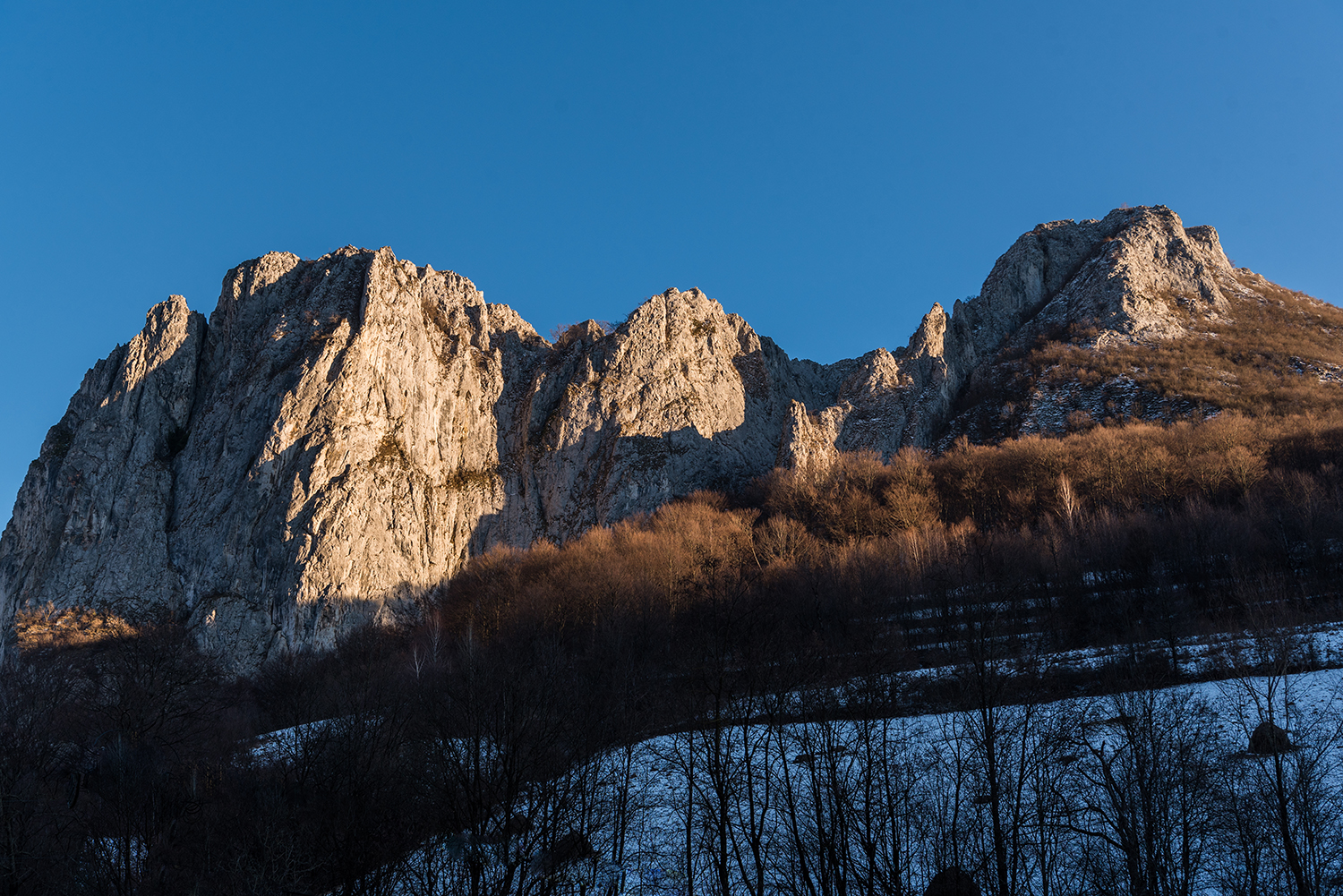 Munții Trascăului