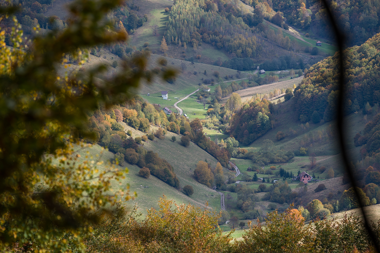 Munții Trascăului