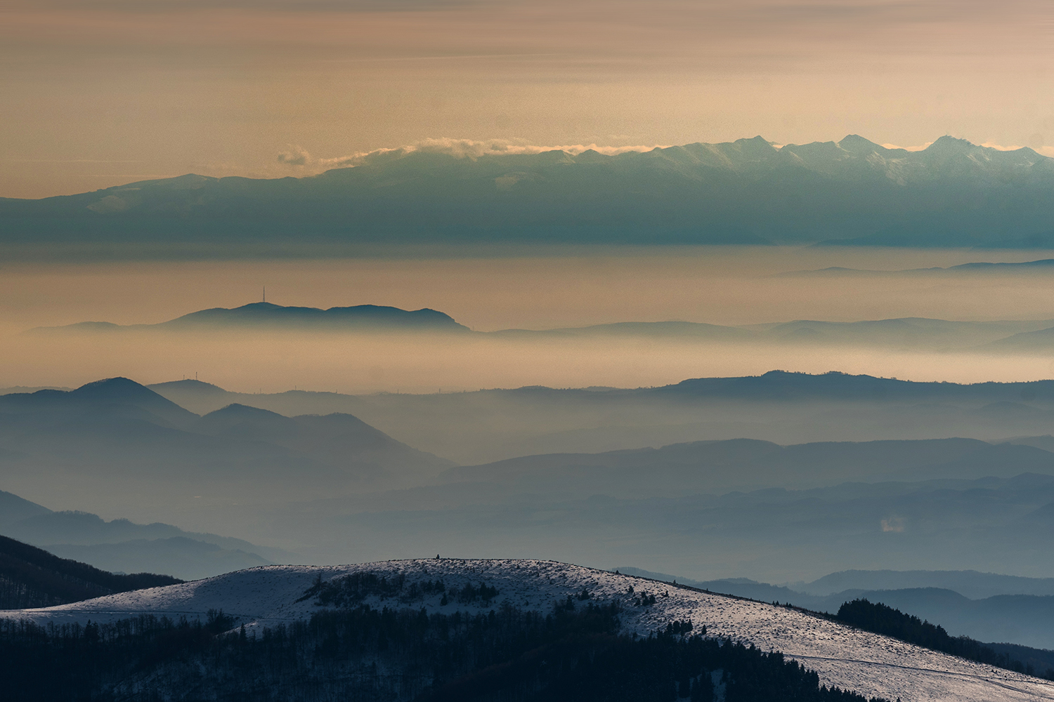 Munții Bihor