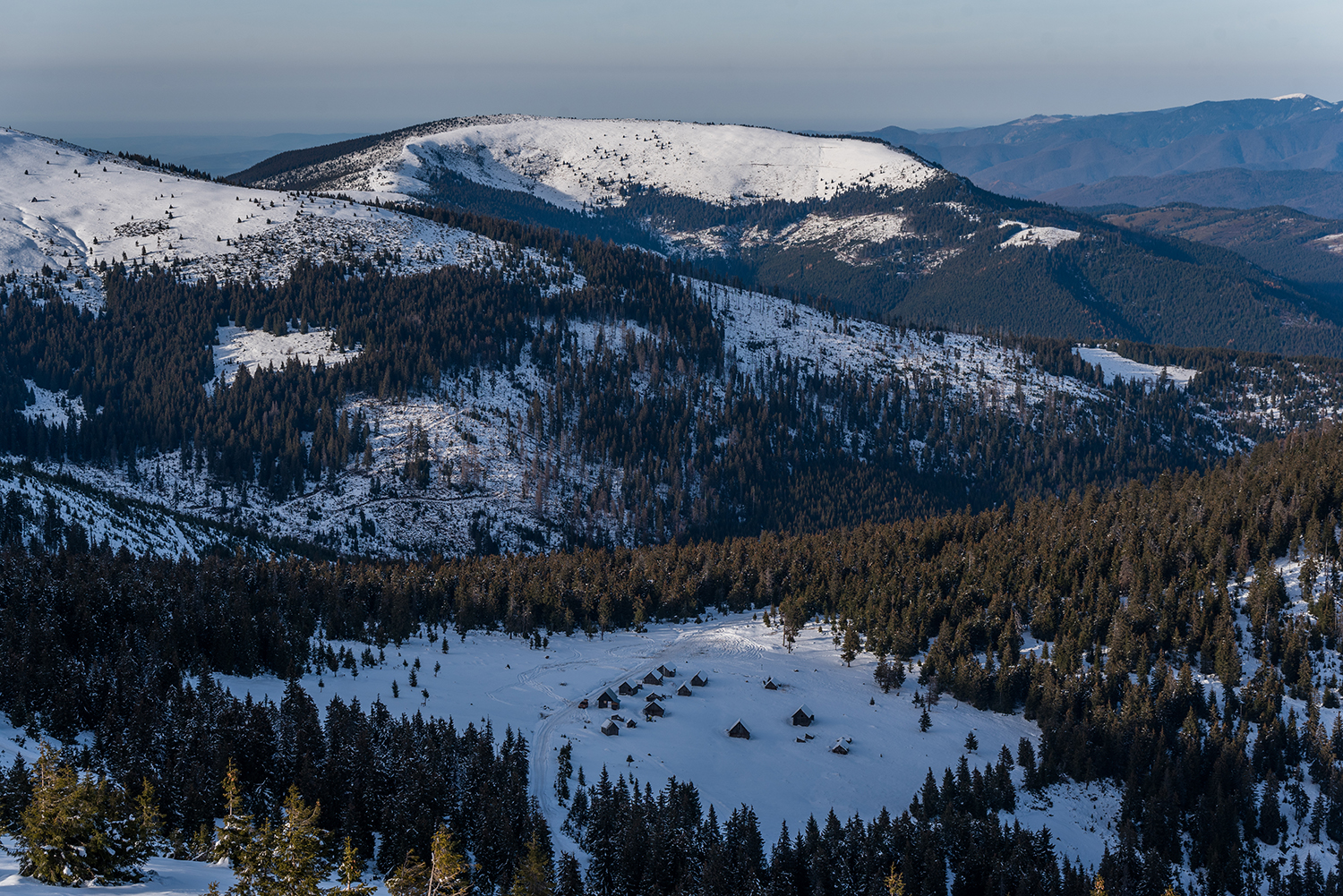 Munții Bihor