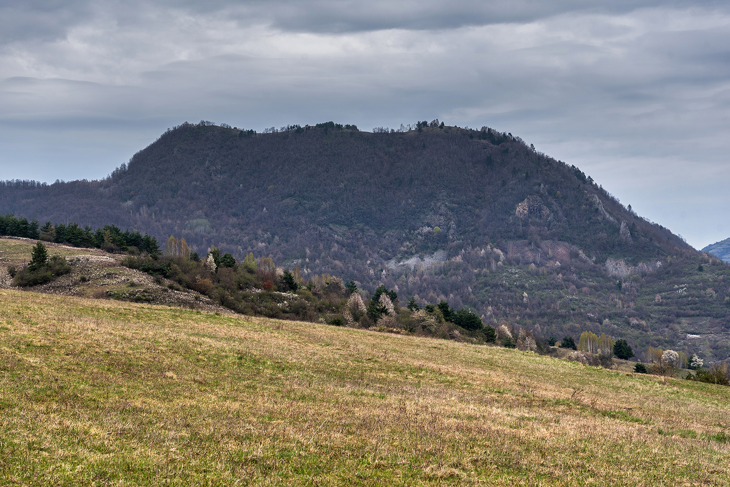 Scărița-Belioara