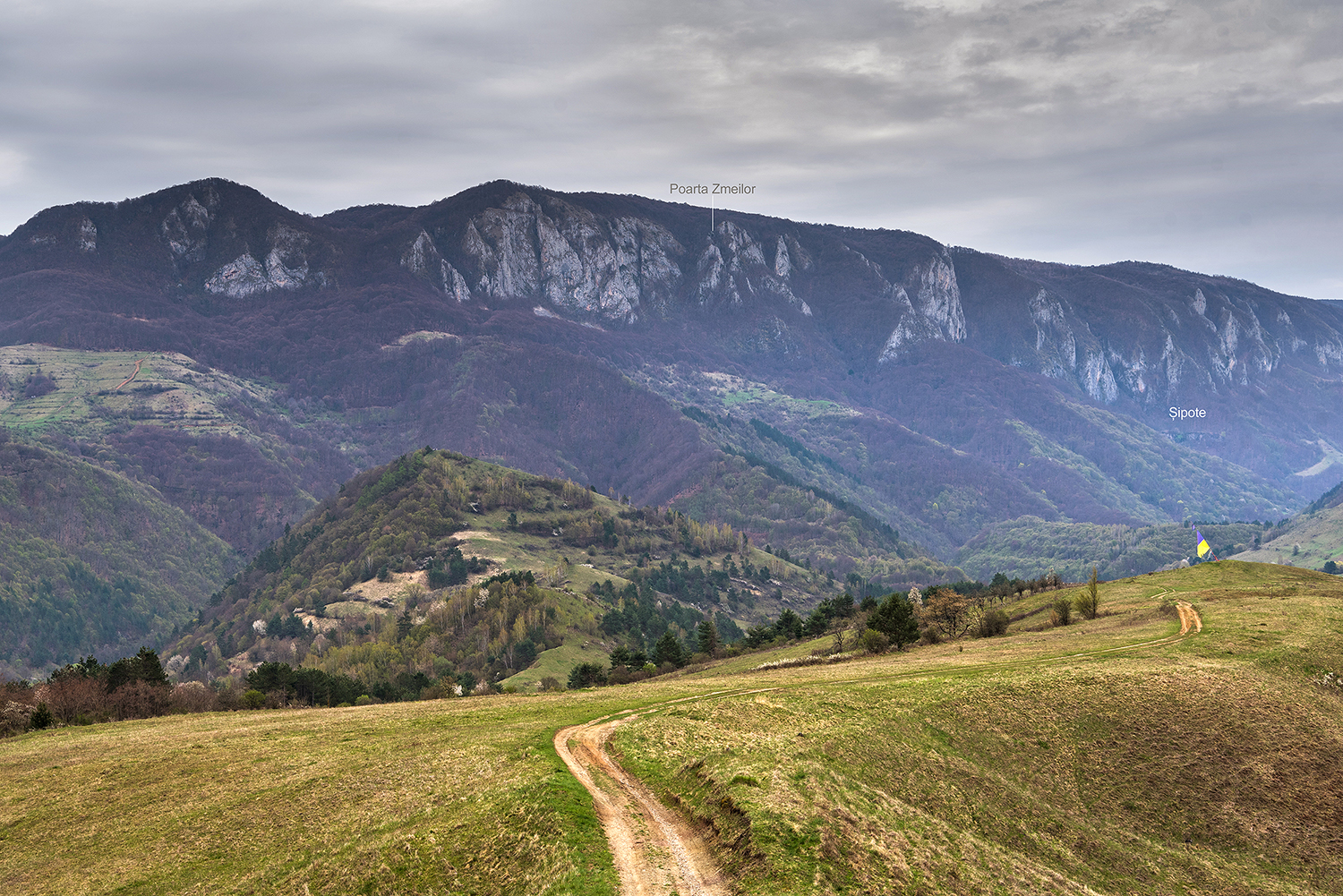 Munții Trascăului