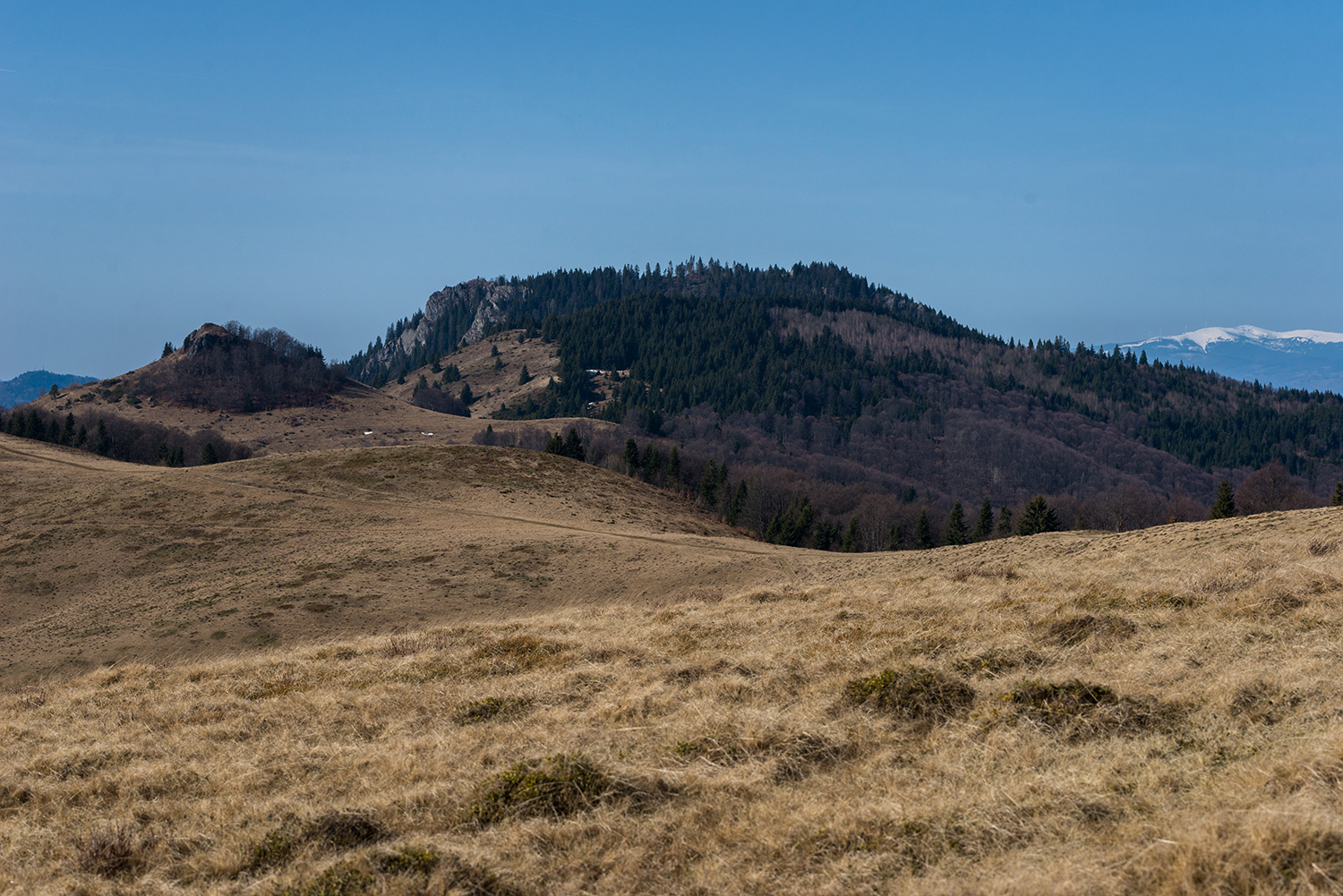 Munții Metaliferi