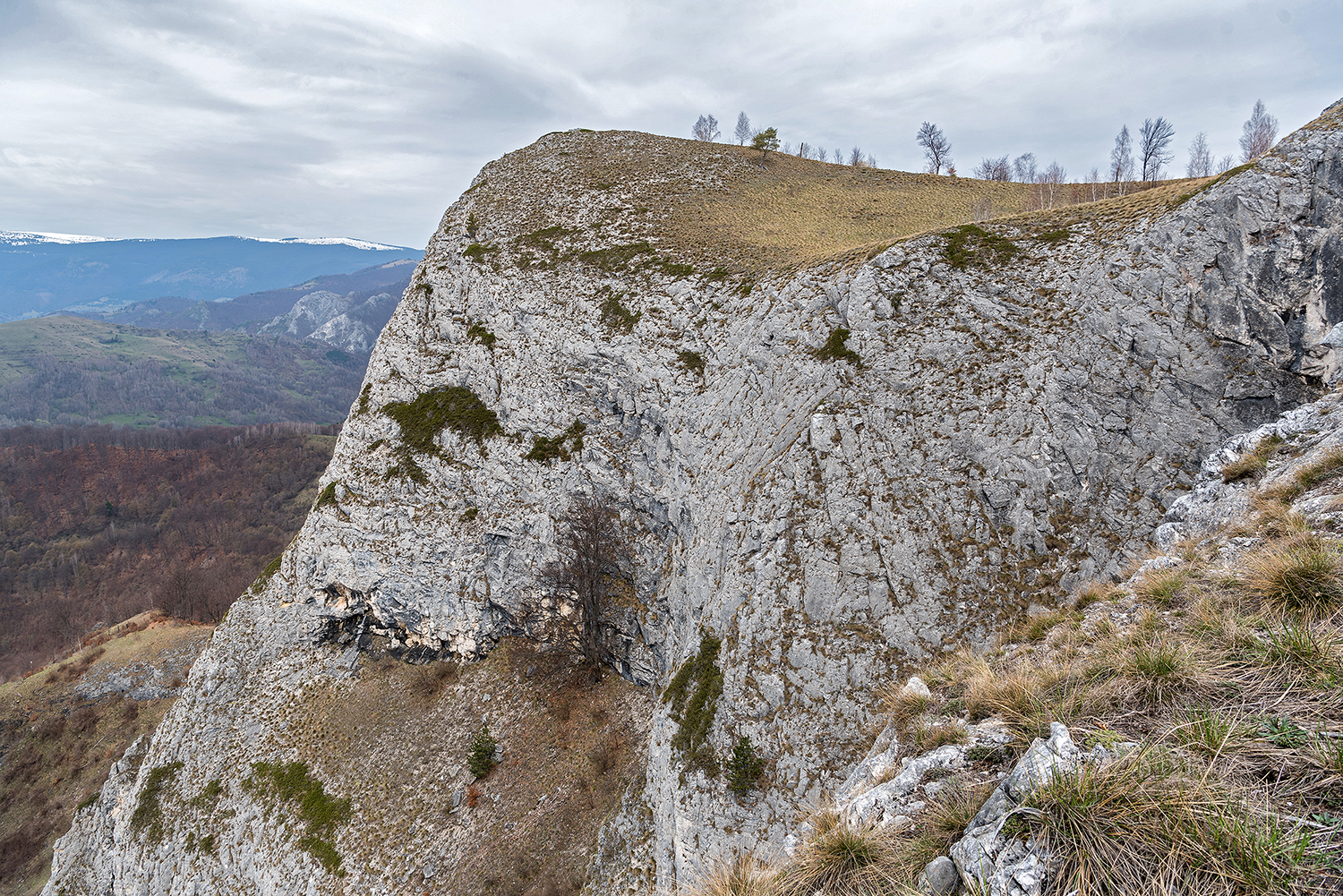 Scărița-Belioara