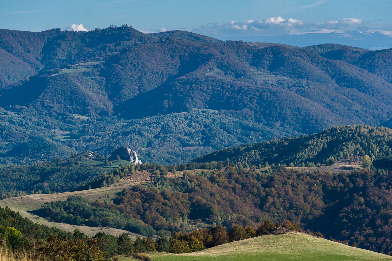 Munții Trascăului