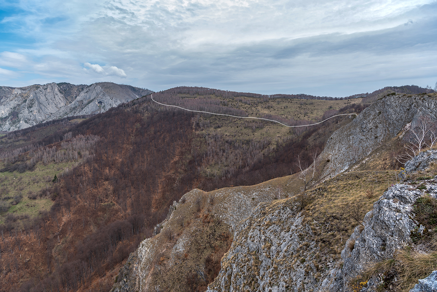 Scărița-Belioara