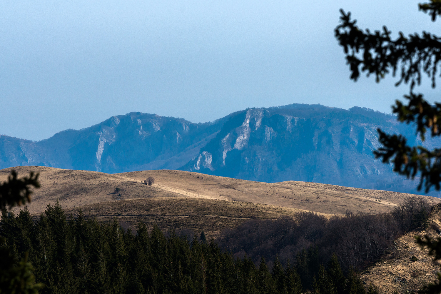 Munții Metaliferi